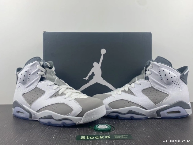 Reps LUCY 6 Air Cool Jordan CT8529-100 Grey 0728